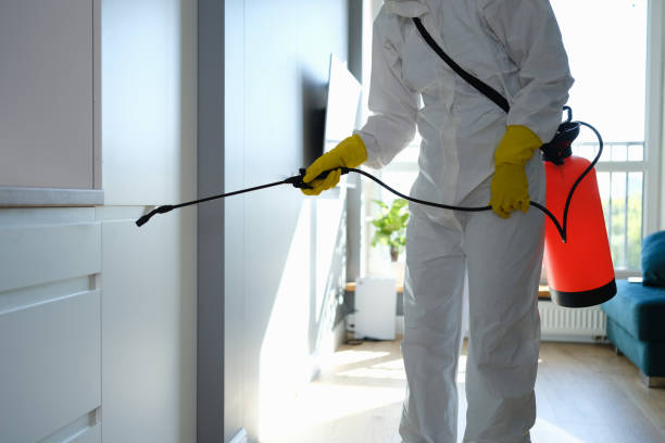 Trusted Melvindale, MI Mold Removal Experts