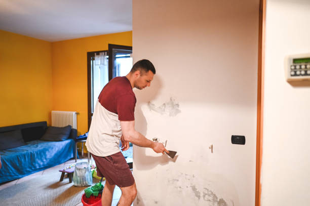 Best Mold Remediation  in Melvindale, MI